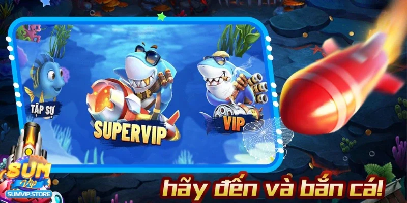 Các yếu tố ảnh hưởng đến kết quả trong săn cá đoạt bảo