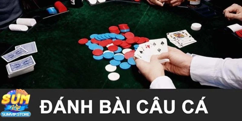 Cách chơi bài câu cá cơ bản mà bạn cần nắm vững