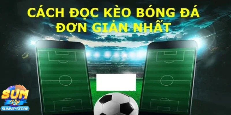 Cách đọc tỷ lệ kèo và xác định kèo nào có giá trị cao
