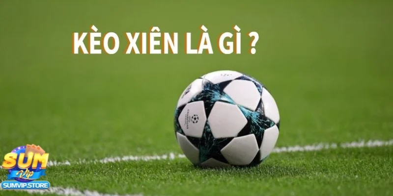 Cược xiên là gì tìm hiểu về khái niệm và cách hoạt động