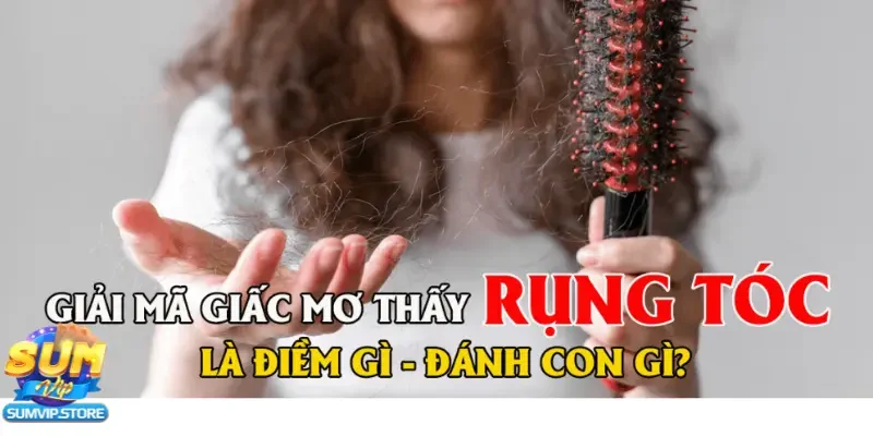 Đánh lô khi có điềm báo ngủ mơ thấy rụng tóc