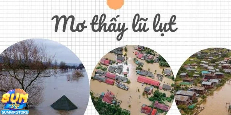 Giải mã giấc mơ thấy lũ lụt và tác động trong cá cược