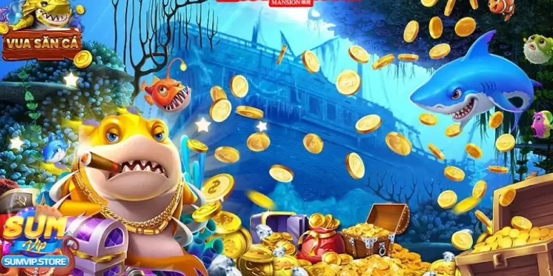 Giới thiệu cược bắn cá 5 sao trực tuyến là gì?
