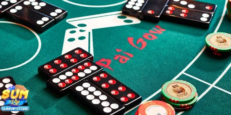 Giới thiệu tổng quan về bài cẩu và lý do trò chơi này hấp dẫn