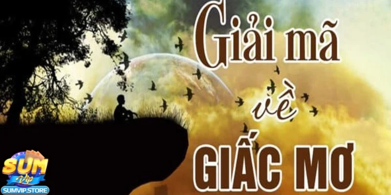 Ngủ mơ thấy gạch là điềm báo gì cho tương lai - Gạch bị nứt