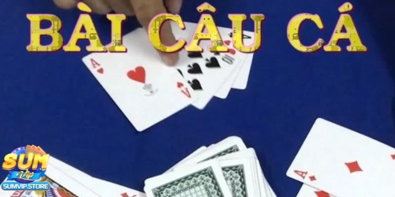 Tổng quan về bài câu cá và lý do nó hấp dẫn người chơi