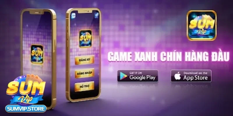 Xác nhận tài khoản đăng ký Sumvip và bắt đầu trải nghiệm